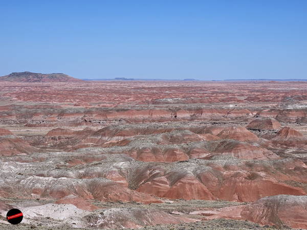 Petrified Forest National Park